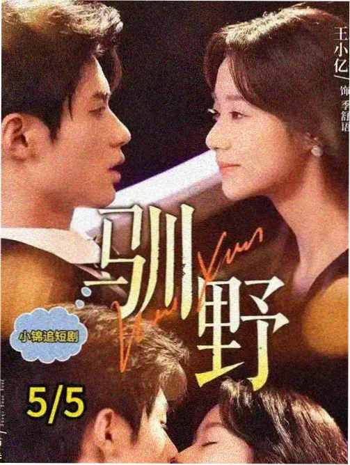 潦草影院悬疑单元剧档案馆之夜海报